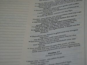 Person reading a Hebrew menu with Hebrew text, food descriptions, and handwritten notes at a table.