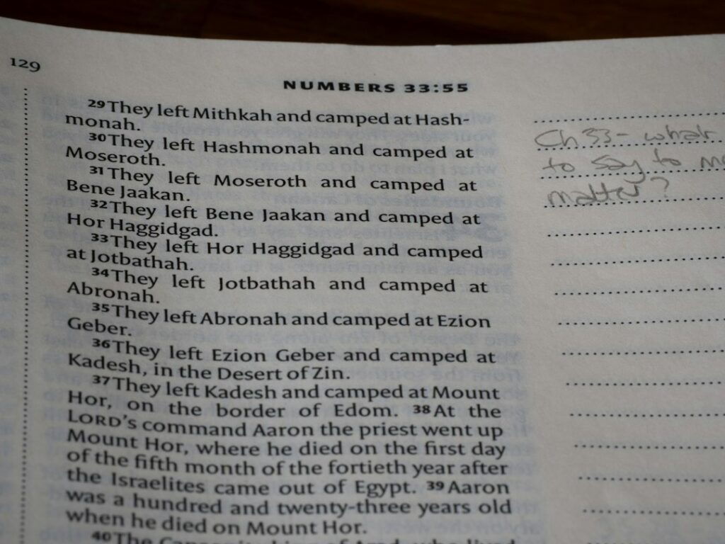 Learner studying Hebrew vocabulary cards beside a notebook showing masculine and feminine noun examples.